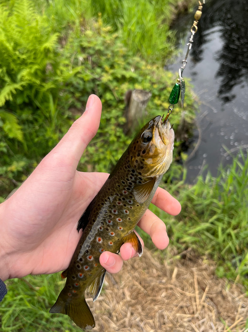 Fiskenerdens Favorittspinner Pakke - Fiskenerden.no