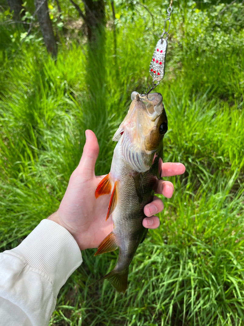 Spesial Exclusive Hammer Spesialisten - Fiskenerden.no